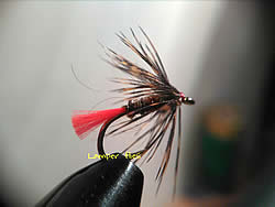 Fly