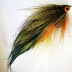 Fly