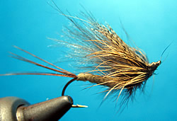Fly