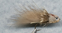 Fly