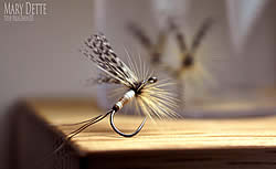 Fly