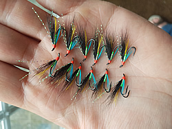 Fly