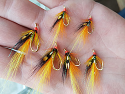 Fly