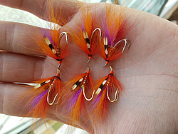 Fly