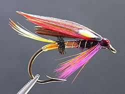 Fly