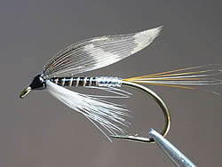 Fly