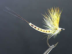 Fly