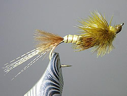 Fly