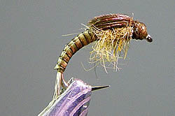 Fly