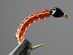 Fly