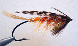 Fly