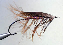 Fly