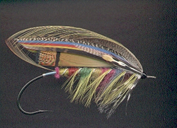 Fly