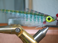 Fly