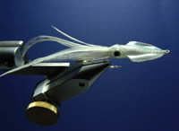 Fly