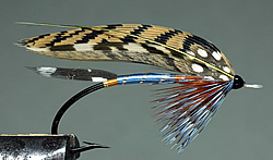 Fly