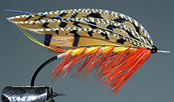 Fly