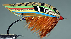 Fly