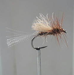 Fly