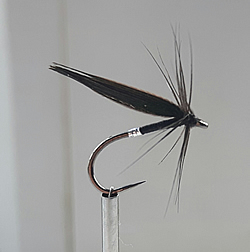 Fly