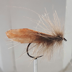 Fly