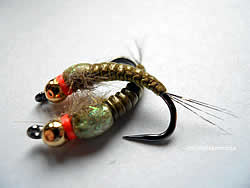 Fly