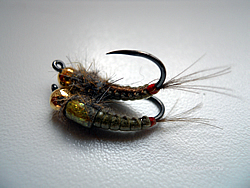 Fly
