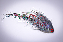 Fly