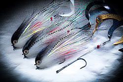 Fly