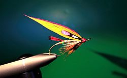 Fly