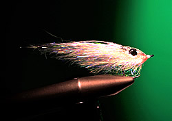 Fly