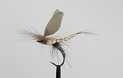 Fly