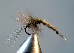 Fly