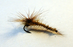 Fly