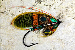 Fly