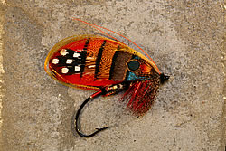 Fly
