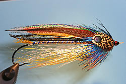 Fly