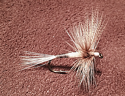 Fly