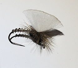 Fly