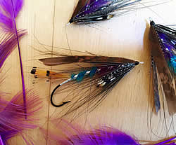 Fly