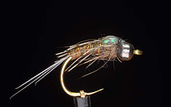 Fly