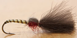 Fly