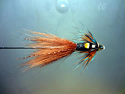 Fly