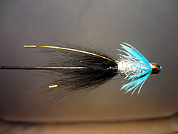 Fly