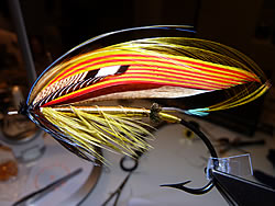 Fly