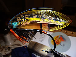 Fly