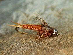 Fly