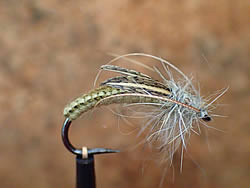Fly