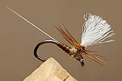 Fly