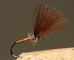 Fly